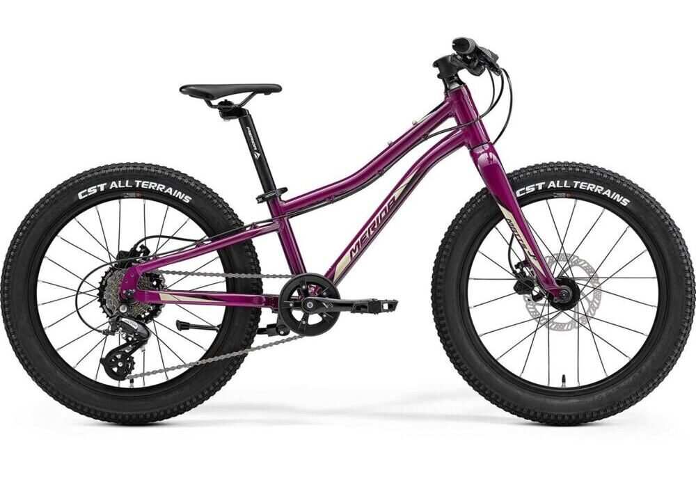 Merida MATTS J. 20+ purple-black-champagne 20