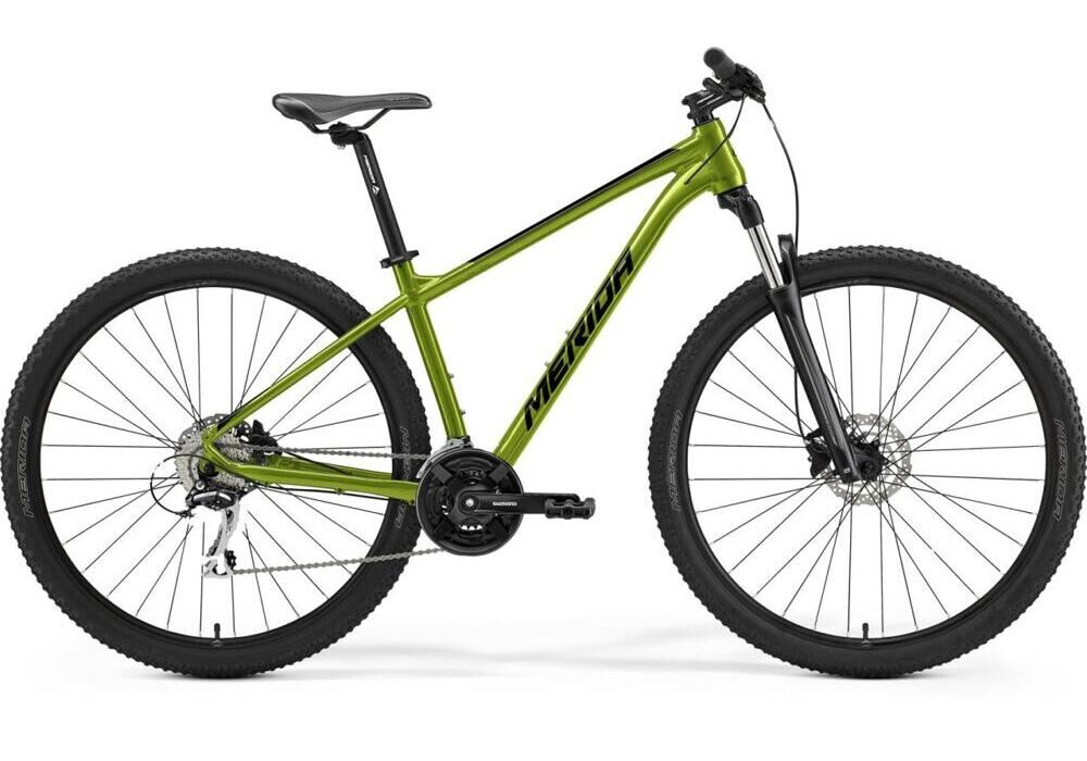 Merida BIG.NINE 20 VI1 matt-fall-green-black