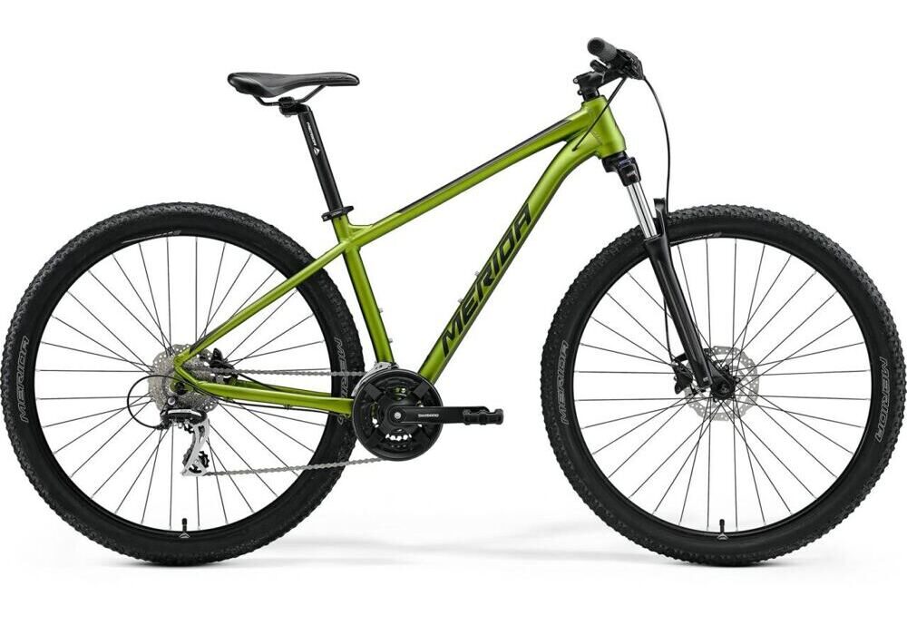 Merida BIG.NINE 20-2x matt-fall-green-black