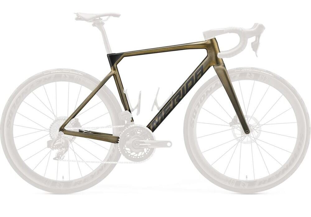 Merida Scultura 9000 frame kit silk-sparkling-gold-black